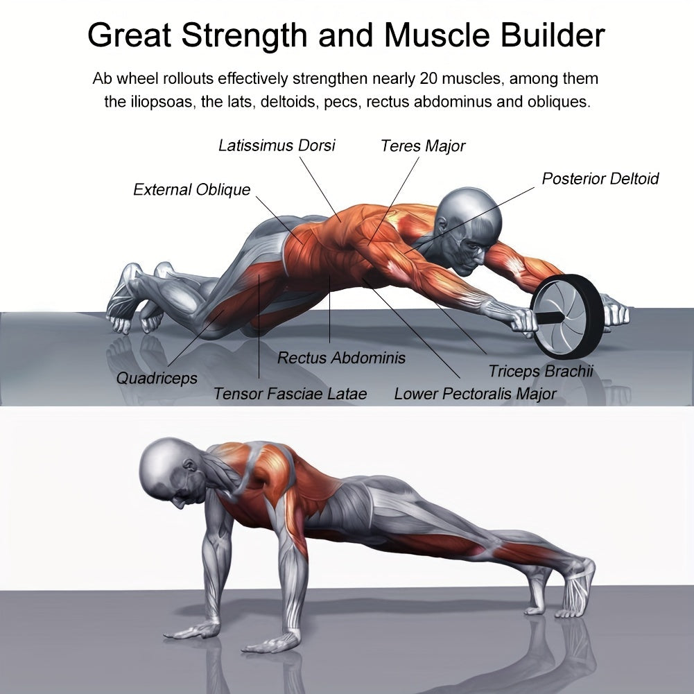 [Silent|Stable] Silent and Stable Abdominal Wheel, Abdominal Muscle Wheel | Strength Training Set, Tummy Tuck Fitness Equipment | Suitable for Living Room, Home, Indoor, Gym etc., Gift for Fitness Enthusiasts and Athletes